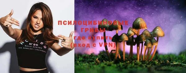 спайс Аркадак