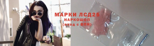спайс Аркадак