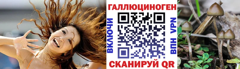 Псилоцибиновые грибы мицелий  hydra ссылка  Островной 