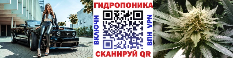 где купить Островной Конопля ГИДРОПОН